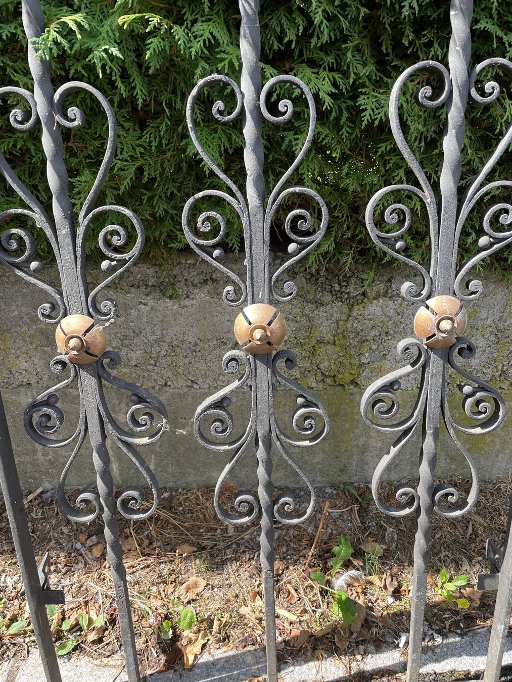 Gitter & Roste: Fenster-Gitter – Gebraucht aus Forch von ESELSTEIN 1