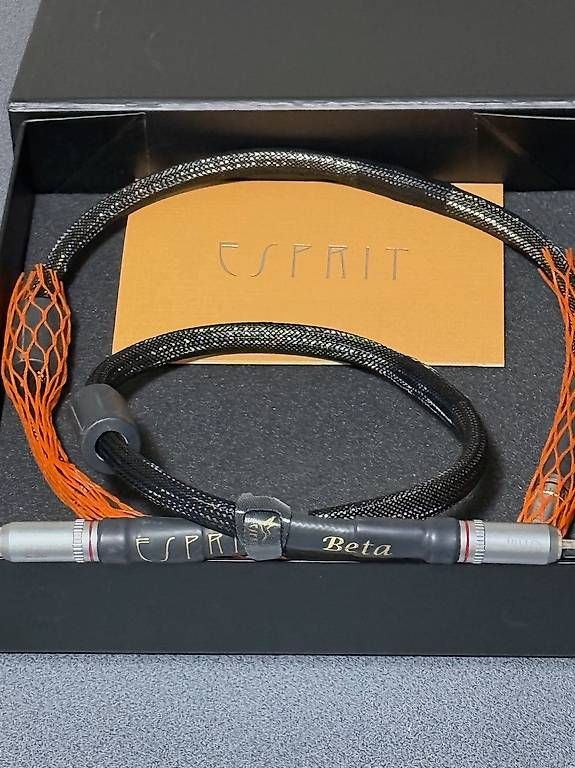 Modellismo RC: ESPRIT Audio BETA RCA 60 CM – Nuovo e nell'imballaggio originale da Sottens venduto da inf_c62x