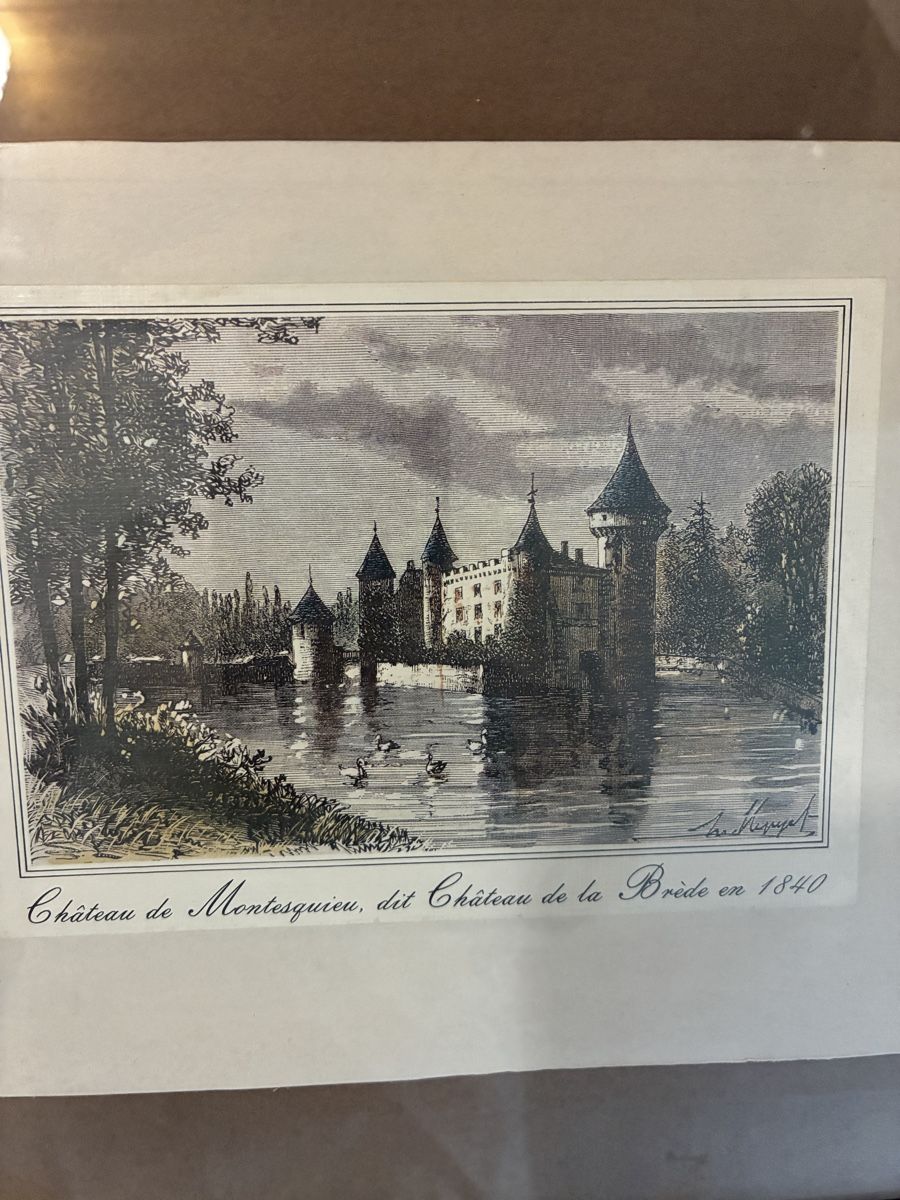 Foto & Immagini: Bilder – Usato da Oetwil a. d. Limmat venduto da Sneep 4
