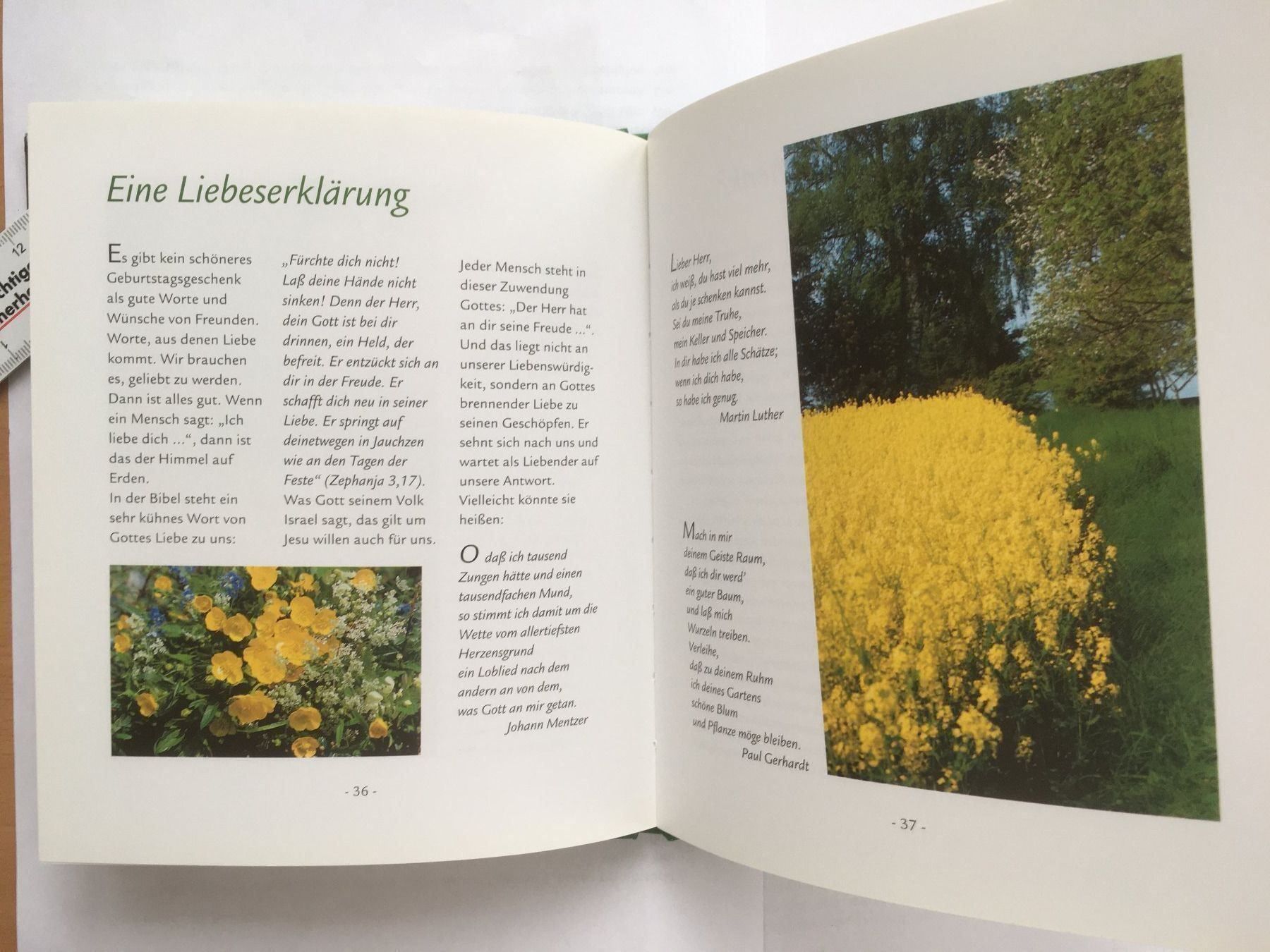 Bücher: Zum Geburtstag viel Glück – Gebraucht aus Grenchen von Kogi7 4