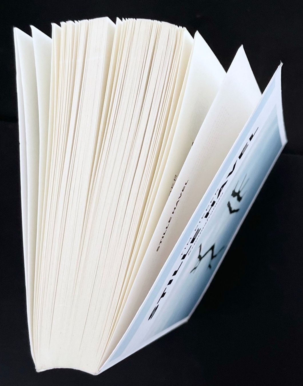 Libri: Tim Pieper - Stille Havel – Nuovo (secondo la descrizione) da Bern venduto da frank.j.webb 4