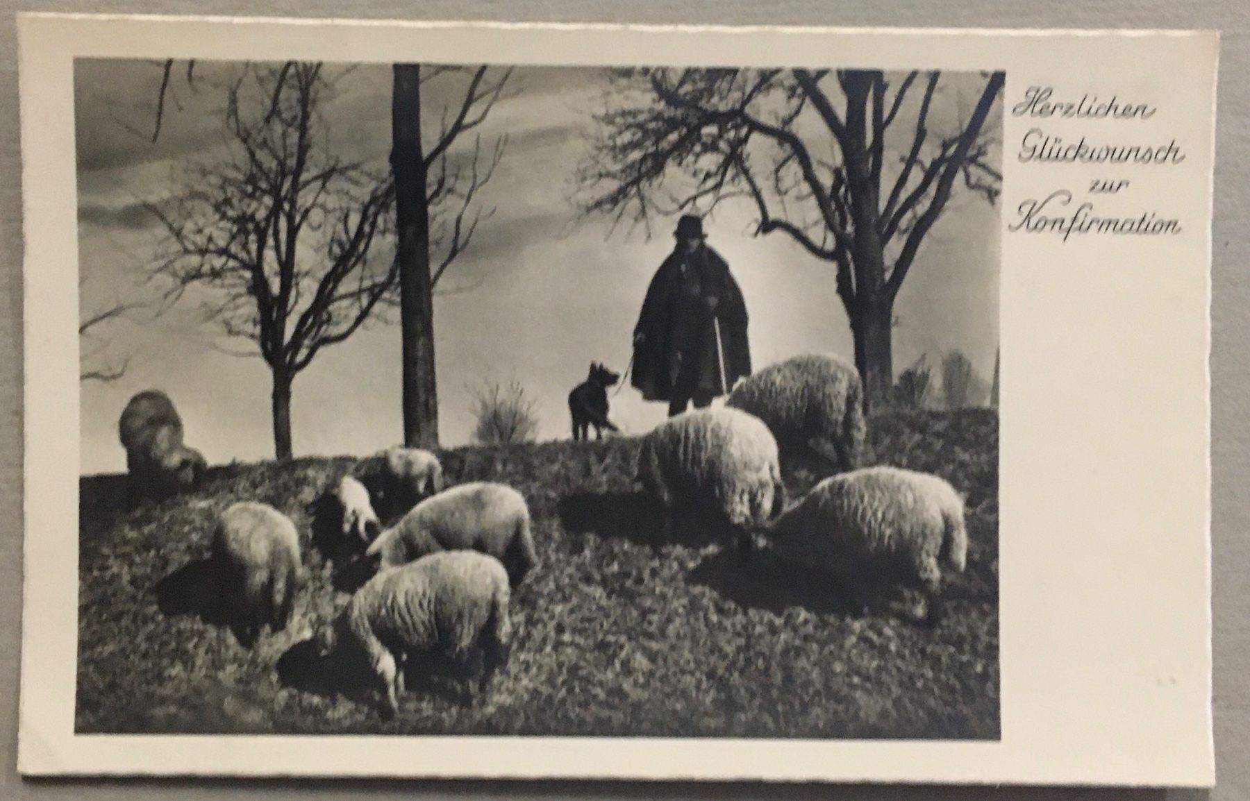 Ansichtskarten: Landwirtschaft, Schäfer, Schafe, Konfirmation, 1944 – Gebraucht aus Frauenfeld von Merk52