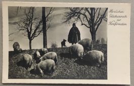 Landwirtschaft, Schäfer, Schafe, Konfirmation, 1944