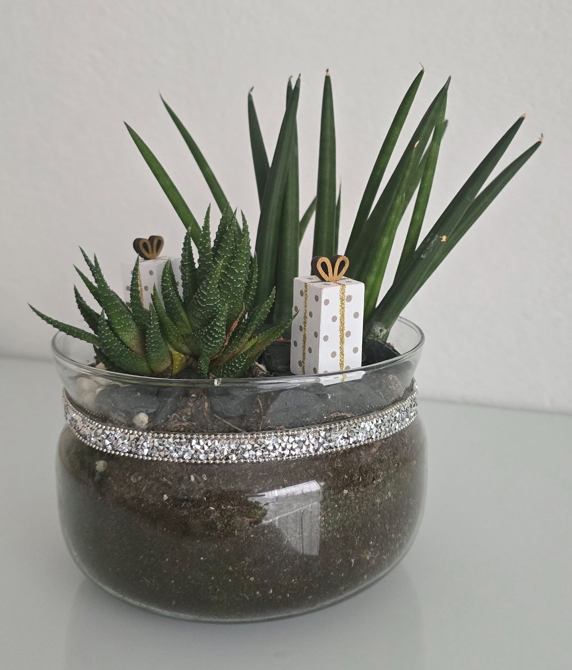 Piante & sementi: Winterdeko: Sukkulenten im Glas – Nuovo (secondo la descrizione) da Aarburg venduto da Glitzerschein 2