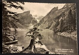 SEEALPSEE