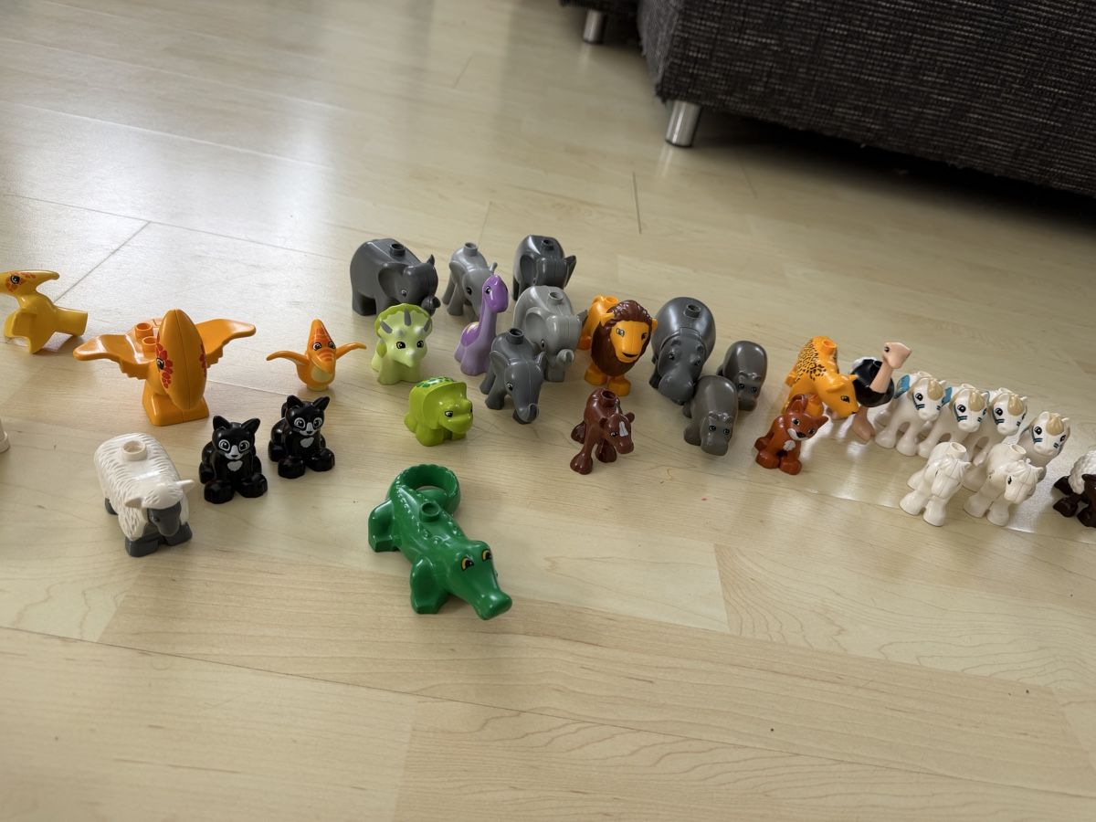 Lego Spielzeuge: Ca 22 Kilo Lego Duplo – Gebraucht aus Breitenbach von jma_x922 2