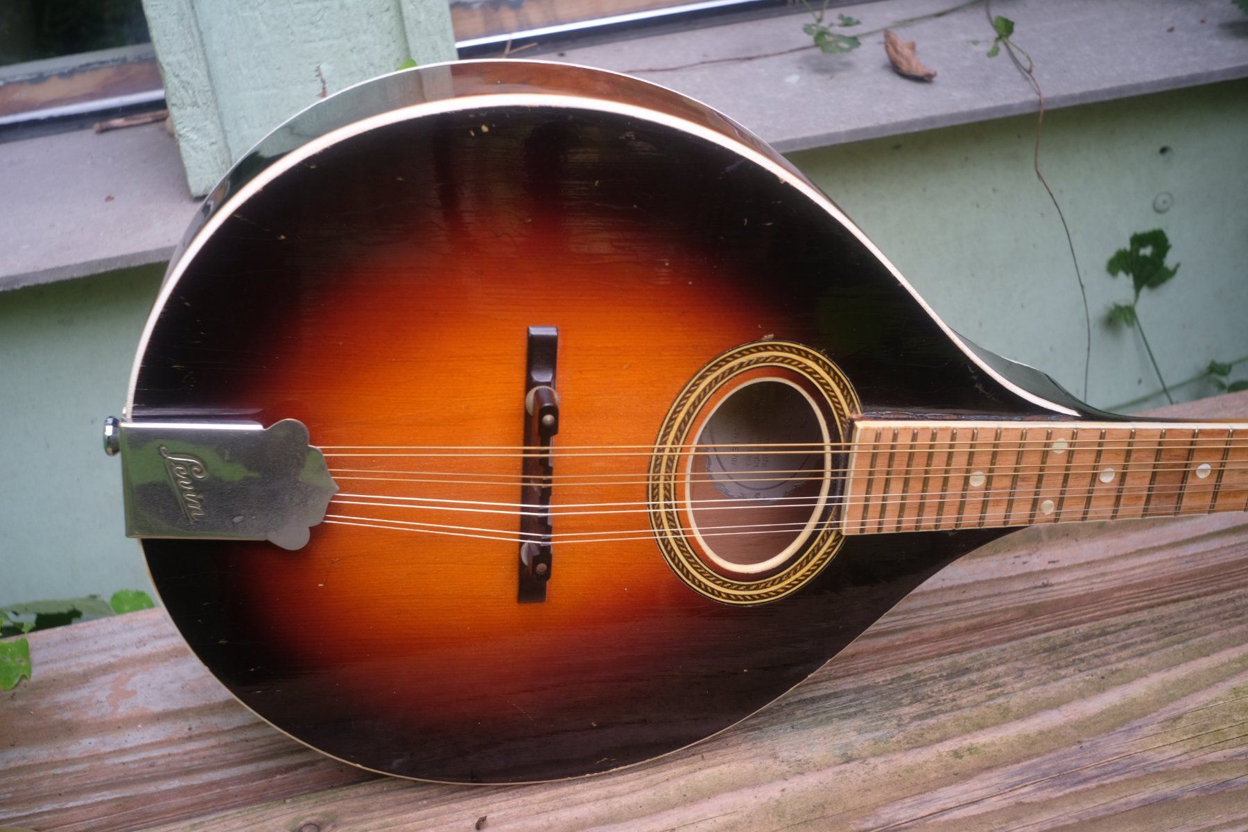 Strumenti musicali: Levin Mandoline 1945 – Usato da Winterthur venduto da hermanadam 1