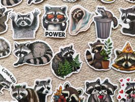 Sammlung Waschbär Aufkleber, Sticker