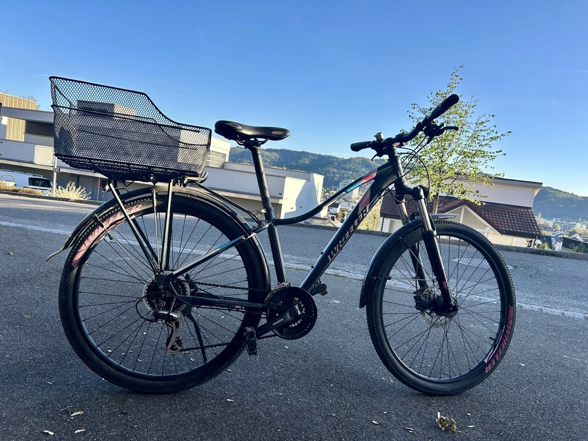 Wheeler Biciclette: Wheeler Damen Velo – Usato da Wettingen venduto da elisabetha06