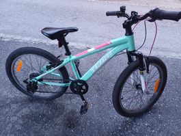 Team Bike, 20 Zoll, Top Zustand, ideales Frühlingsangebot!