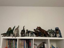 Dinosaurier-Sammlung zu verkaufen