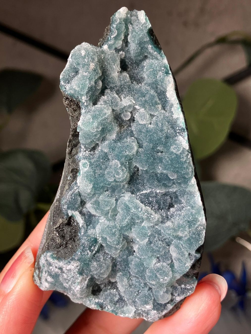 Minerali & Pietre curative: Grüner Chalcedon-Stalaktit – Nuovo (secondo la descrizione) da Neuheim venduto da m.hald 3