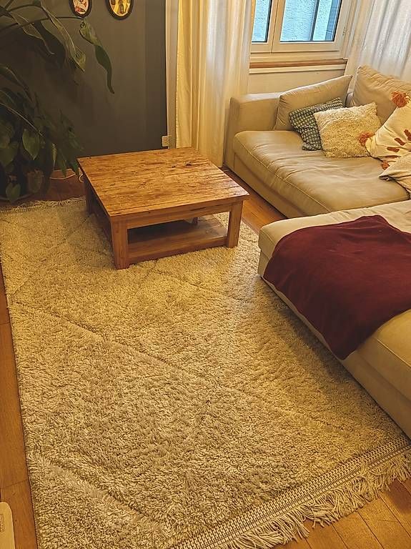 Teppiche: Teppich mit Rautenmuster kurzfloor – Gebraucht aus Zürich von YA-LE 2