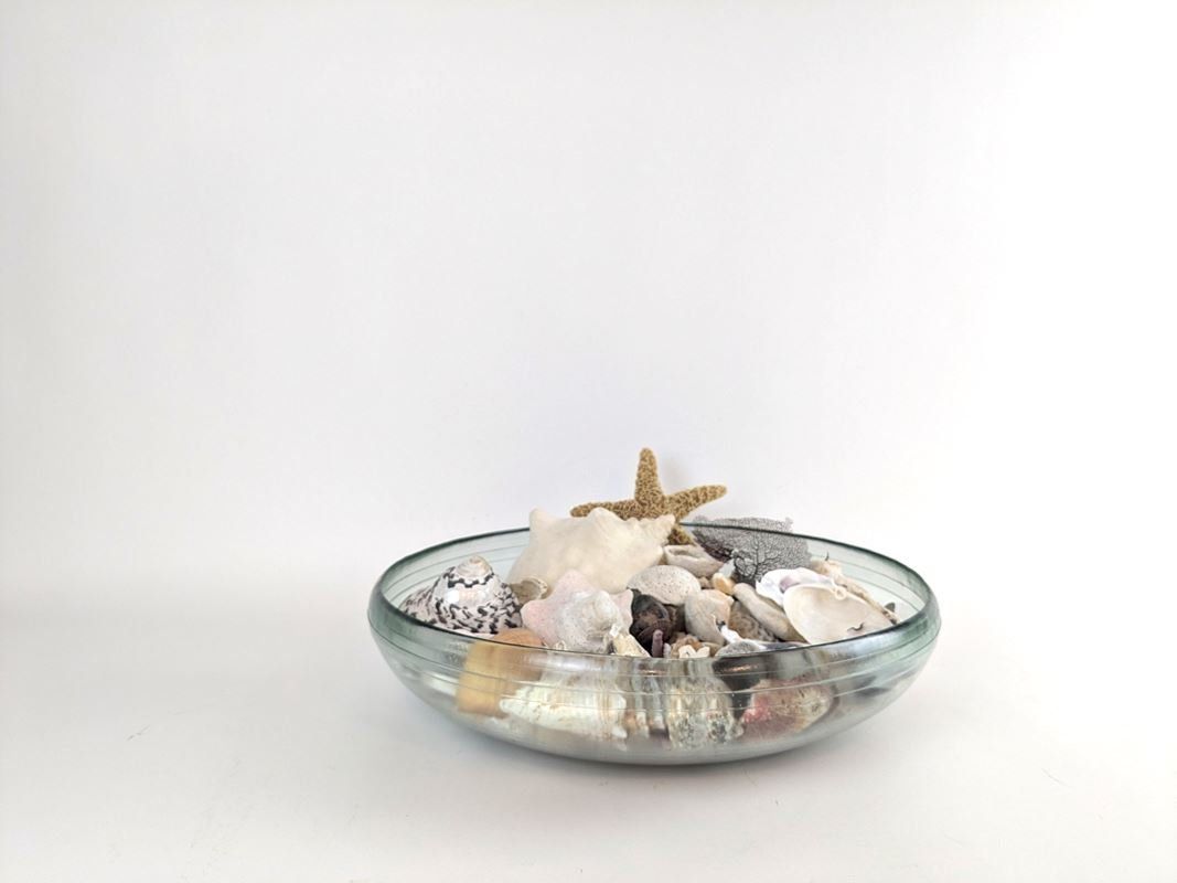 Tutte le decorazioni: Muschelset in Dekoschale – Usato da Thun venduto da Restwert_Thun 1