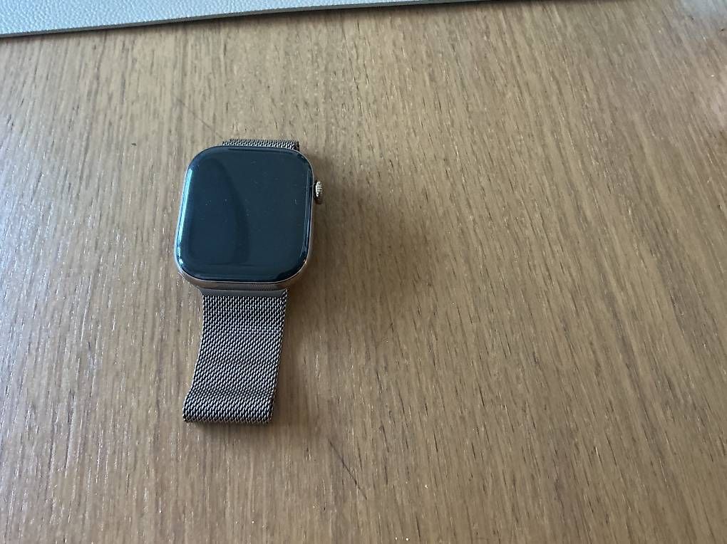 Apple Smartwatch: Neuere Apple Watch 10 Titanium Gold – Usato da Pfungen venduto da zuri007