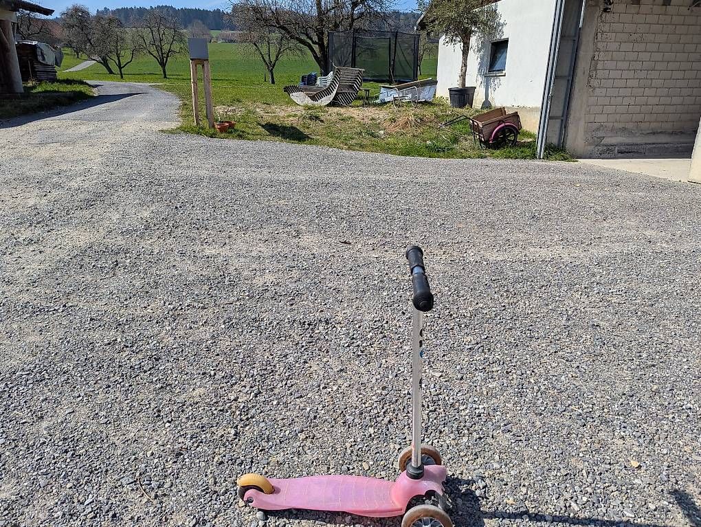 Kickboard: Trottinett Micro  – Usato da Alikon venduto da 1878d