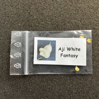 Aji White Fantasy Chili 10 Chili Samen