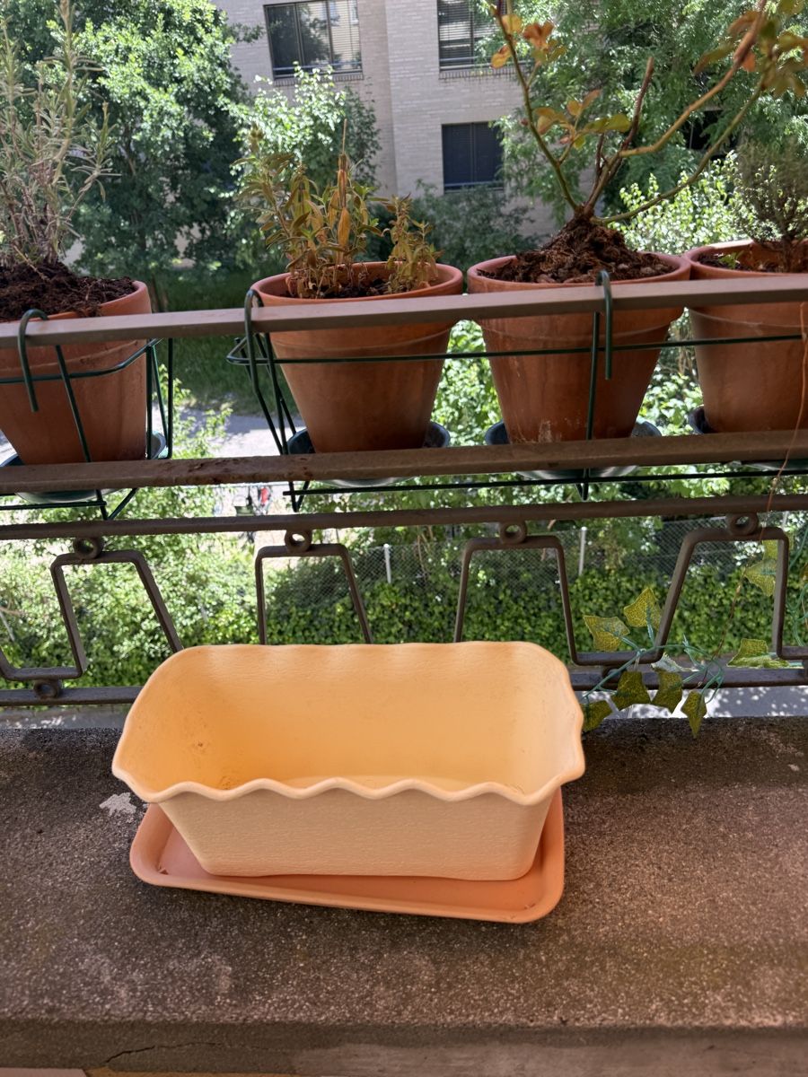 Vasi per fiori: Blumenkasten creme/weiss mit Untersetzer – Usato da Bern venduto da Sellionaire_007 3