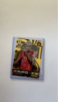 Carte Panini Lamine Yamal Golden Signer RARE collection