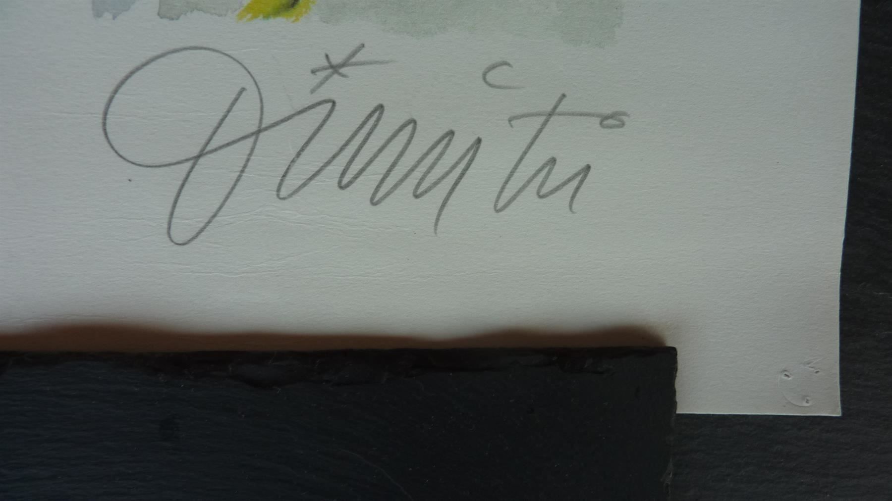 Grafica & Litografie: Dimitri Lithographie – Usato da Dickbuch venduto da Dixieonly 2