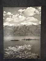 Carte postale Isole Borromee Lac Majeur 1955 état bon