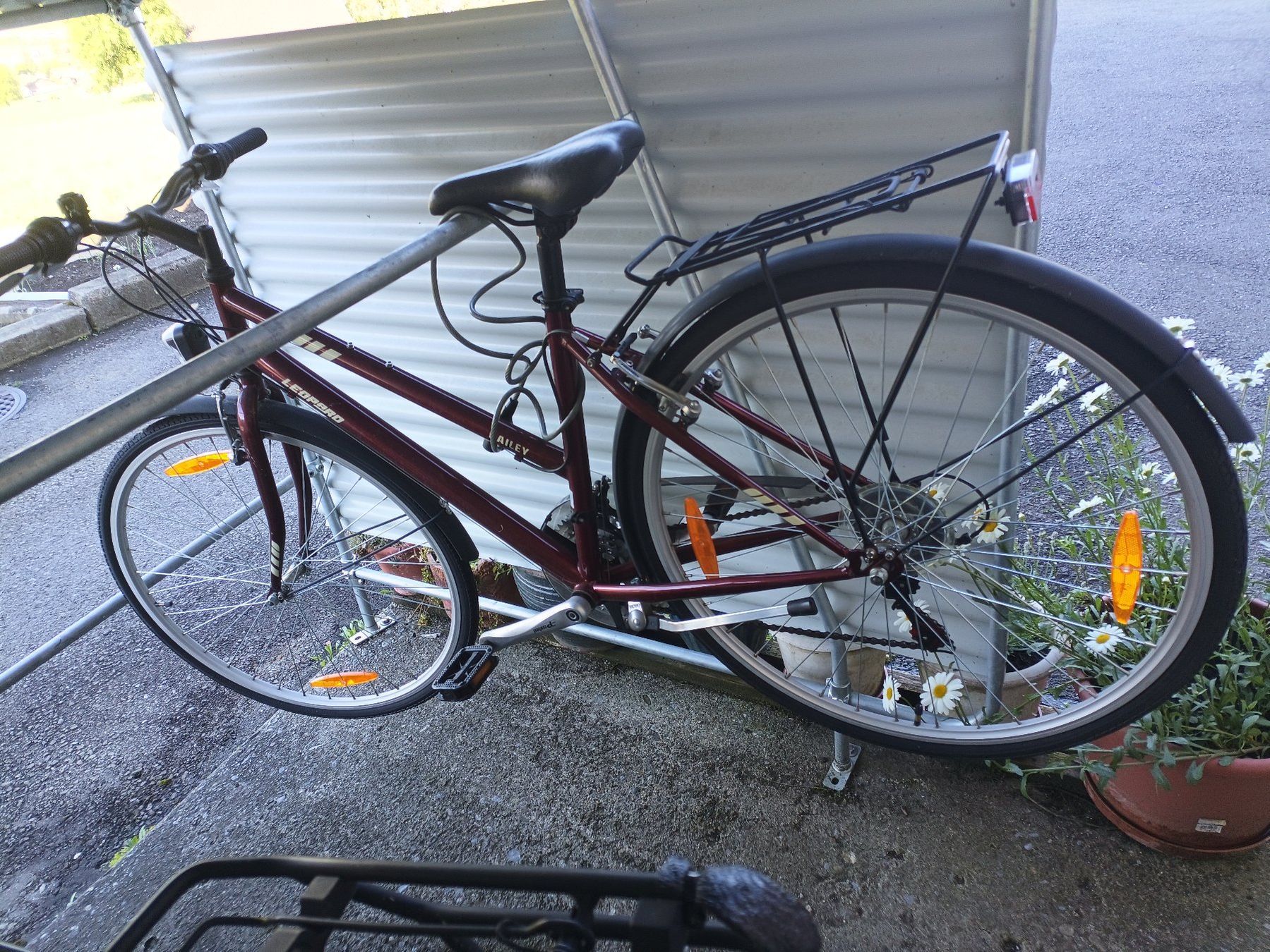 Leopard Vélos: Fahrrad Leopard Hailey – D'occasion à Schwyz par Papyrus
