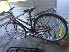 Fahrrad Leopard Hailey
