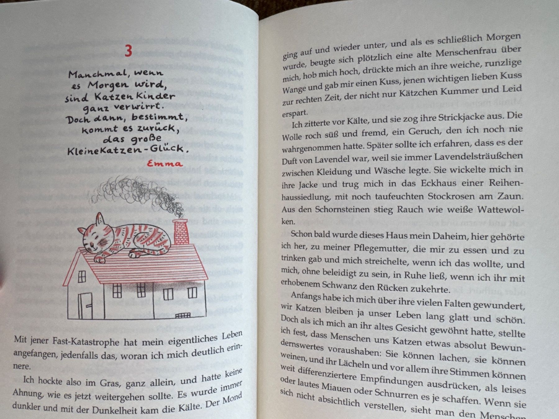 Libri: Ich bin“s Kitty - Mirjam Pressler – Nuovo (secondo la descrizione) da Aarau venduto da Kilauea 3