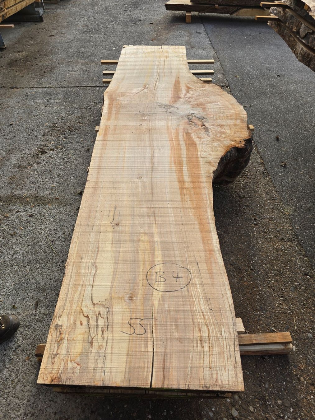 Articoli in legno: Buchenknollen Brett – Nuovo (secondo la descrizione) da Ramsei venduto da Waelchris 4