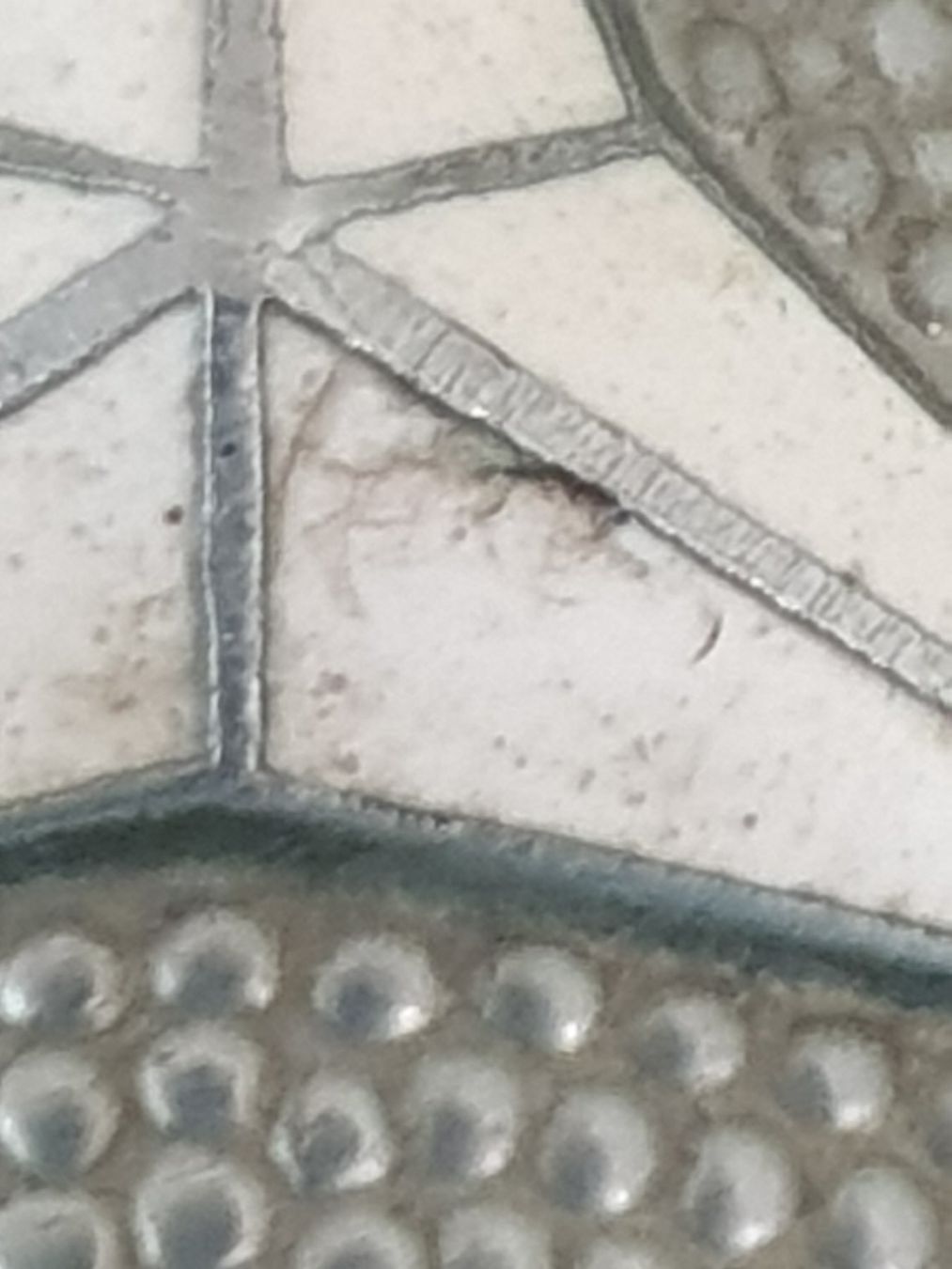 Mercedes-Benz Alle Autoersatzteile: MERCEDES BENZ Emblem – Gebraucht aus Mörschwil von spirspi 1