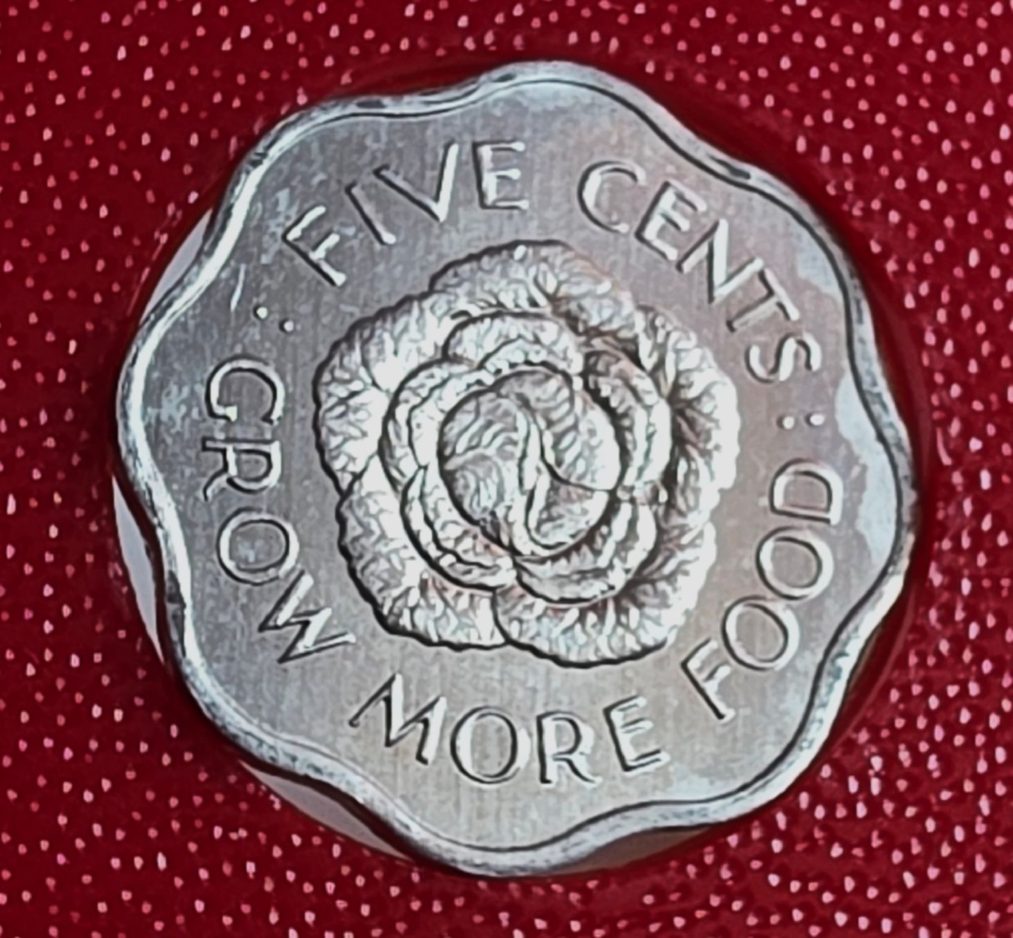 Tutti le monete: SEYCHELLEN 5 CENTS 1972 UNZ. – Nuovo (secondo la descrizione) da Winterthur venduto da Creso70