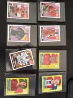 Panini Extra Sticker WM 2026 + rare normal Sticker 