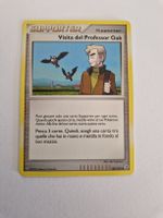 Professor Oak's Visit - Secret Wonders - IT 