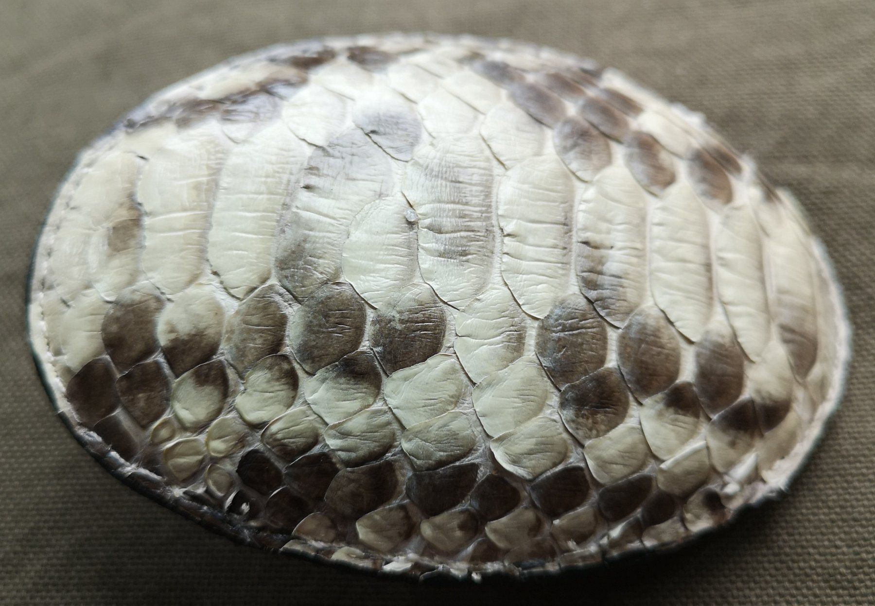 Fibbie per cinture: Ovale, konvexe Gürtelschnalle Schlangenhaut - Leder, Python – Usato da Zürich venduto da Tanteemma369 2