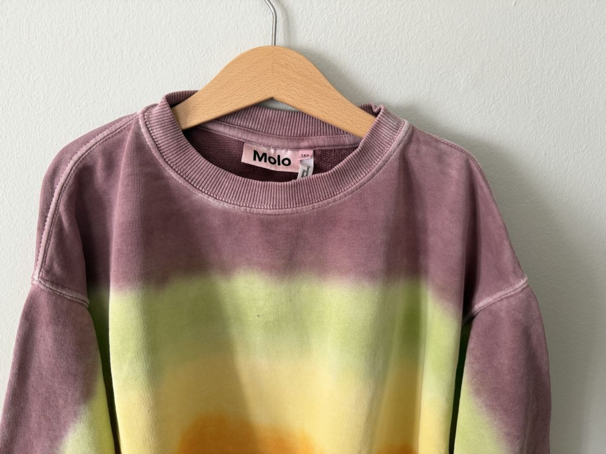 Molo Pulls & Sweat-shirts: Molo Pullover Gr. 152 🌈 – D'occasion à Zürich par rf_fr 1
