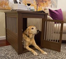 Hundebox De-Luxe (L) Ecoflex für den Innenbereich