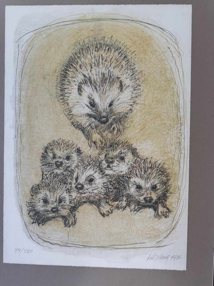 Grafica & Litografie: Fritz Hug Lithogaphie, Igelfamilie – Usato da Safenwil venduto da Corahund 1