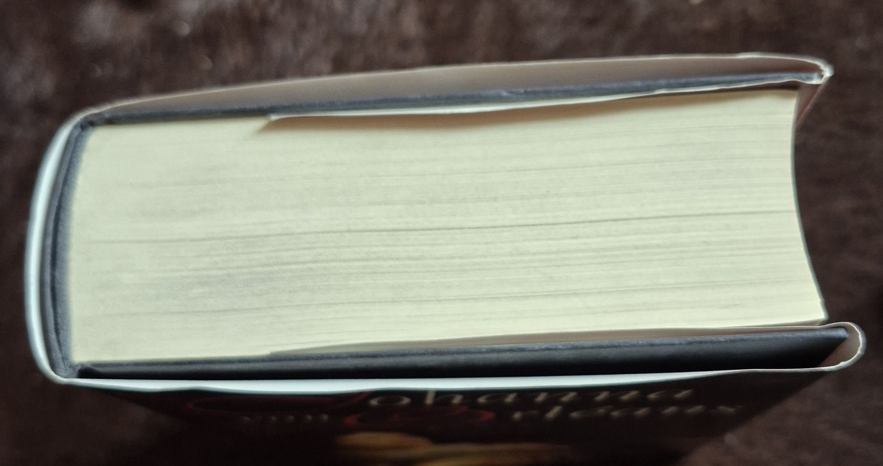 Tutti i DVDs: Buch und Film – Usato da Adliswil venduto da cha_fq9f 6