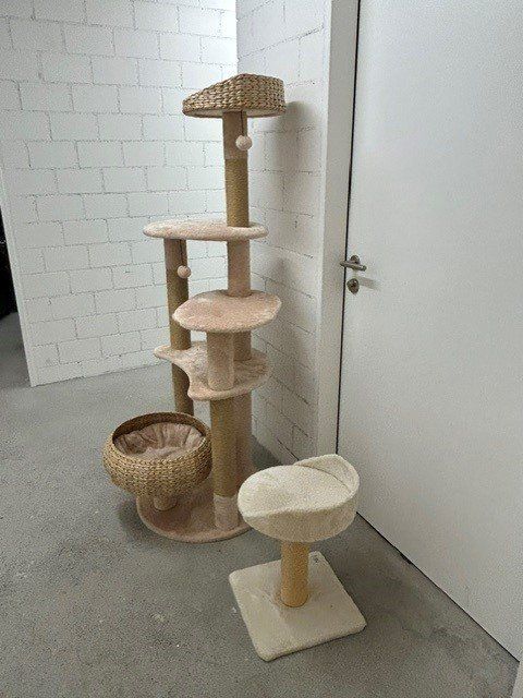 Katzenbaum - Kratzbaum: Katzenhaus – Gebraucht aus Forch von gro_ln65 2
