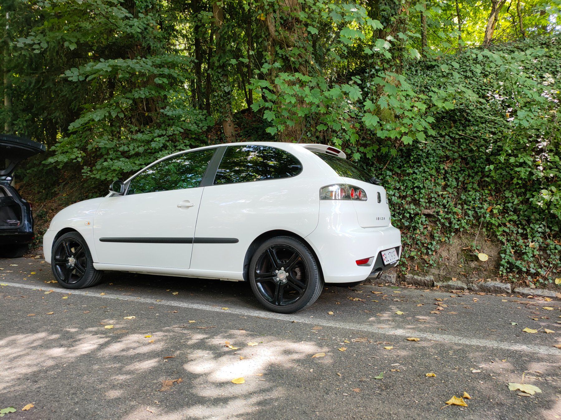 Seat Automobili: seat Ibiza FR 150 Ps – Usato da Waldenburg venduto da Moodoo 2