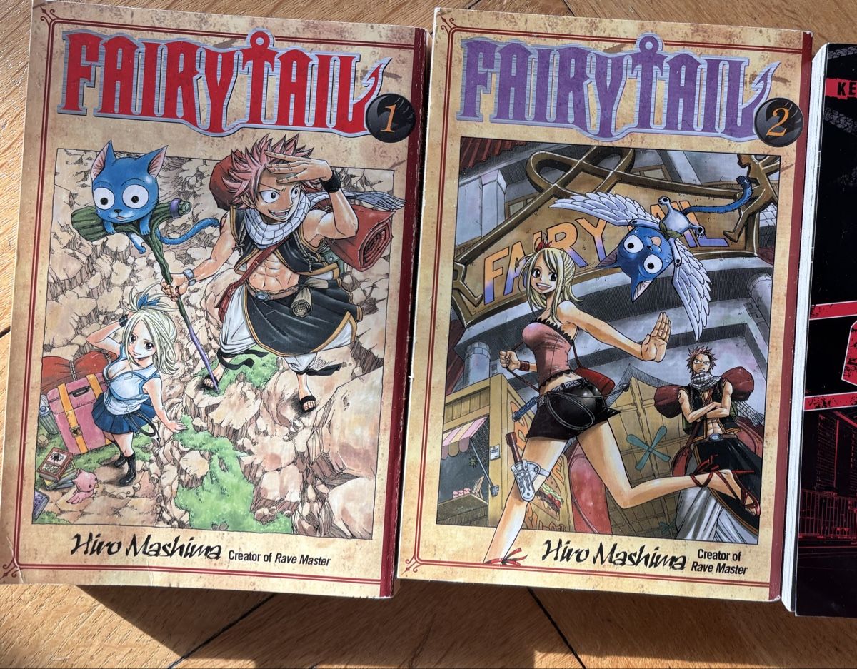 Fumetti: Fairy Tail Bücher, 2 Stück – Usato da Zürich venduto da gucks