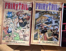 Fairy Tail Bücher, 2 Stück