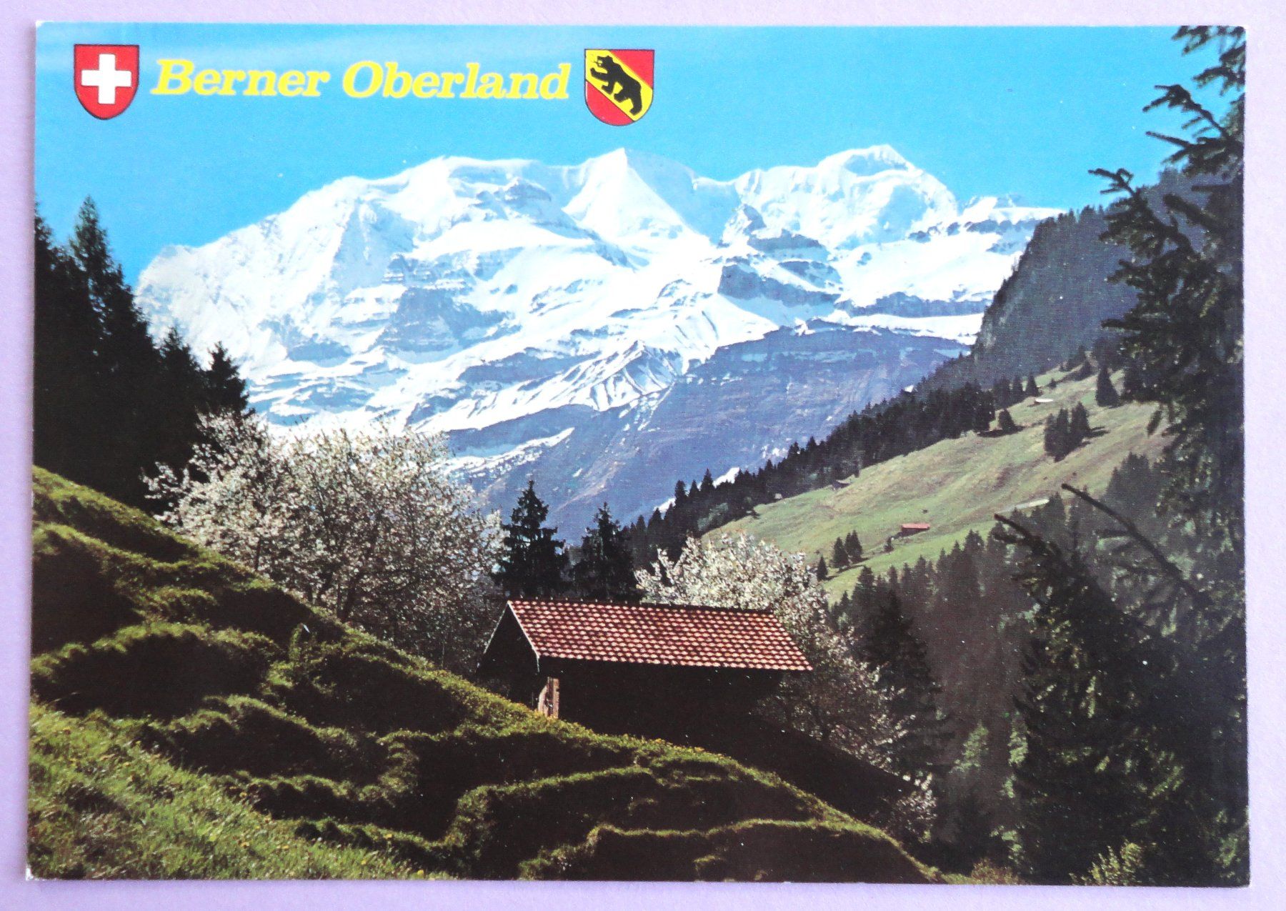 Ansichtskarten: Kiental im Berner Oberland – Gebraucht aus Fétigny von Billy2miny