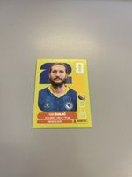 Panini 2026