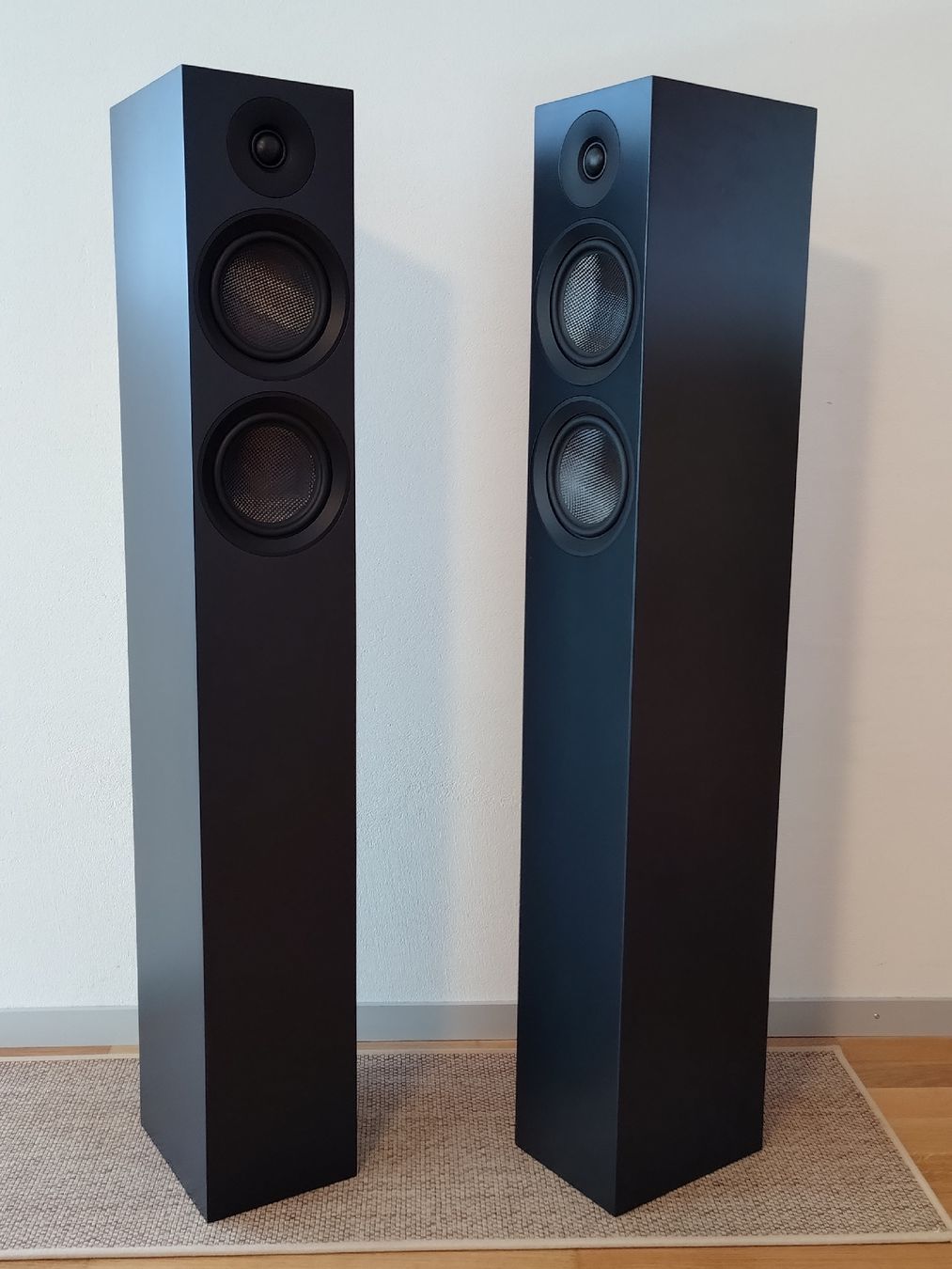 Pro-ject Casse acustiche: Pro-Ject SB 12 E Carbon – Usato da Cham venduto da tuttipaletti 1