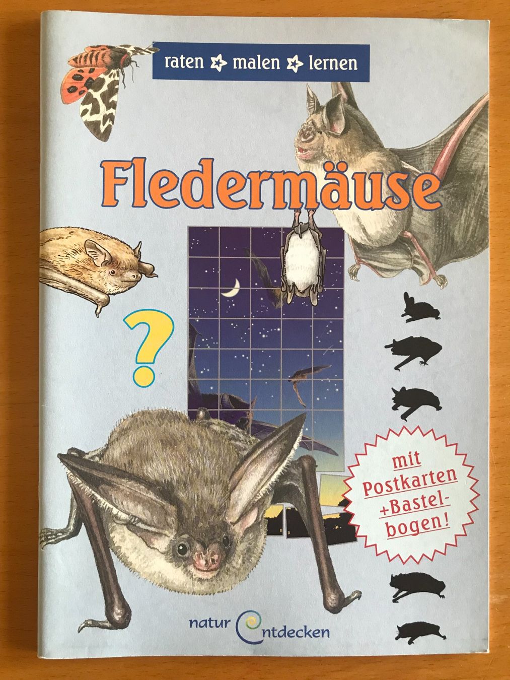 Libri: Fledermäuse - raten malen lernen - Unterrichtshilfe – Usato da Luzern venduto da mey_s13
