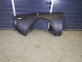 Alfa 6 (119) Kotflügel vorne links