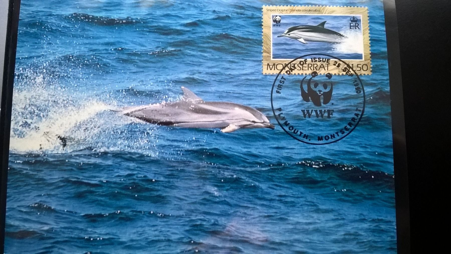 Alle Briefmarken: Montserrat 1990 Satz WWF Delphine Maximumkarten – Neu (gemäss Beschreibung) aus Liestal von schnueps 1