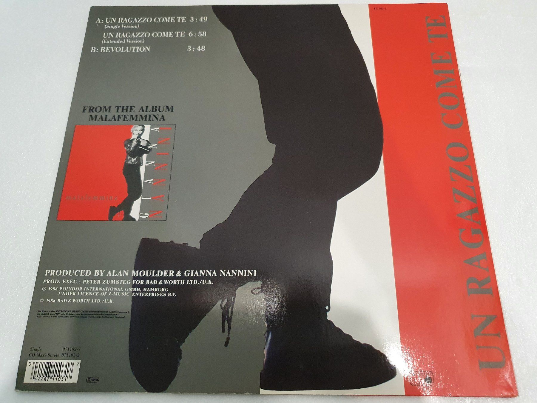 Schallplatten: Gianna Nannini – Un Ragazzo Come Te – Gebraucht aus Uster von  1