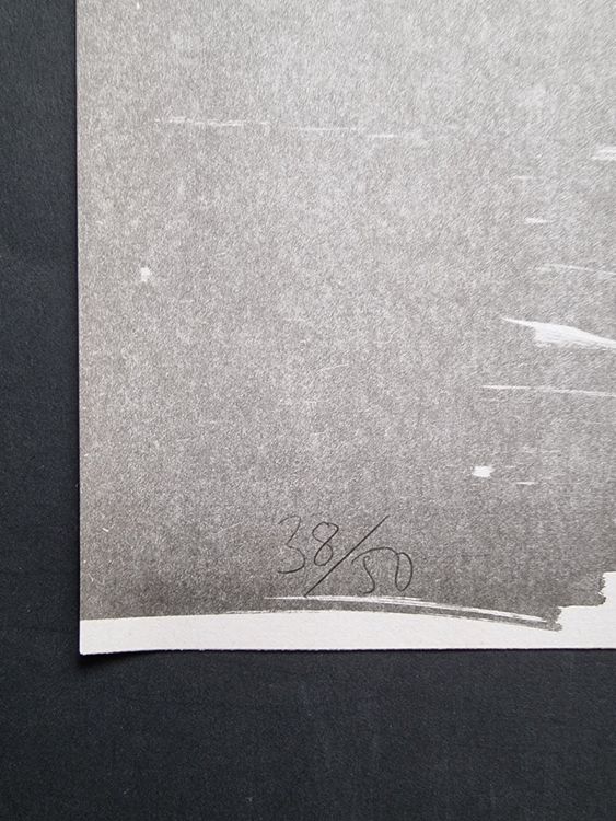JAN VOSS ist ein deutscher Maler und Grafiker LITHOGRAPHIE 4